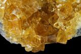 Lustrous Yellow Calcite Crystal Cluster - Fluorescent! #138070-1